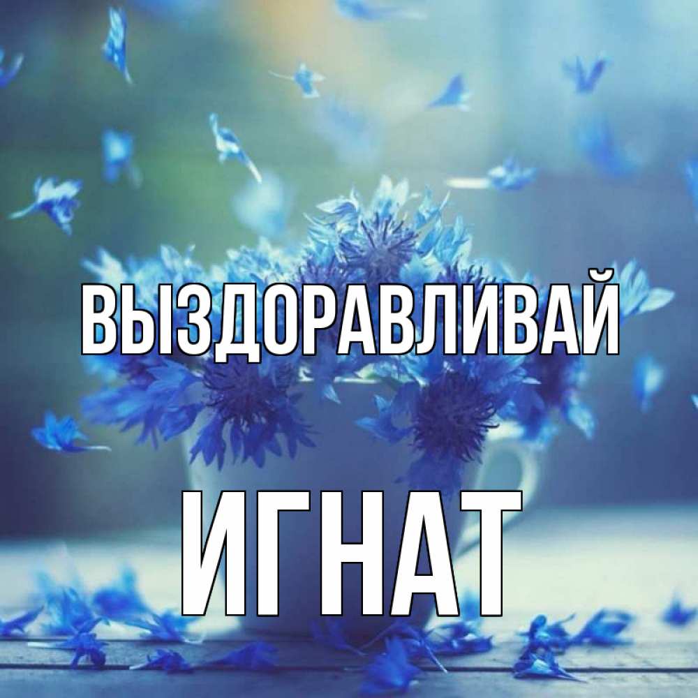 Открытка на каждый день с именем, Игнат Выздоравливай кружка с зельем и цветами Прикольная открытка с пожеланием онлайн скачать бесплатно 