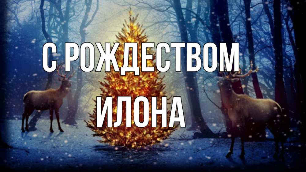 Открытка на каждый день с именем, Илона С рождеством олени, новогодняя елка Прикольная открытка с пожеланием онлайн скачать бесплатно 