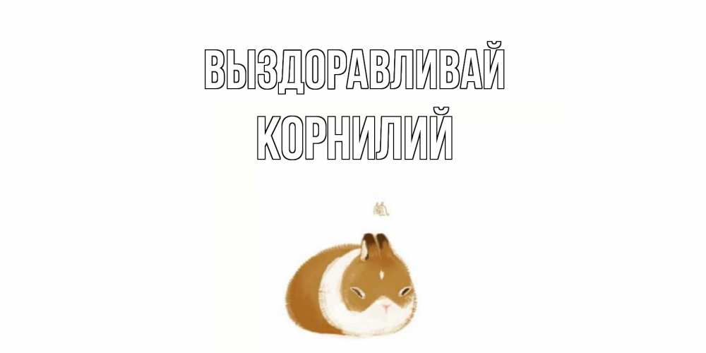 Открытка на каждый день с именем, Корнилий Выздоравливай морская свинка на открытке с пожеланиями не болеть Прикольная открытка с пожеланием онлайн скачать бесплатно 