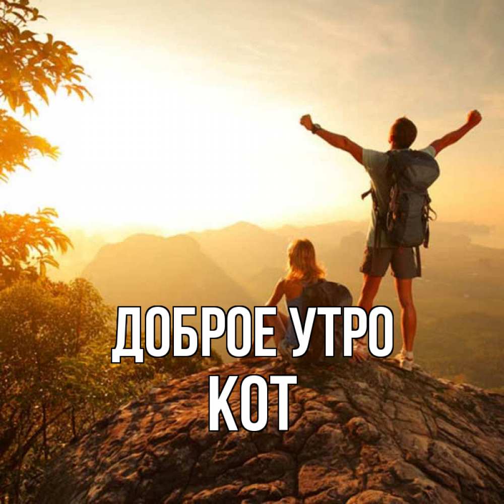 Открытка на каждый день с именем, Кот Доброе утро утро в горах Прикольная открытка с пожеланием онлайн скачать бесплатно 