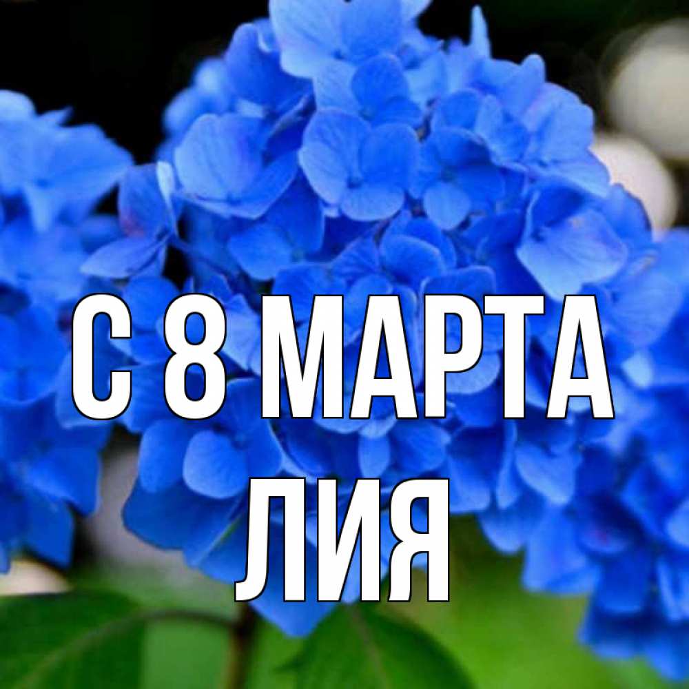 Открытка на каждый день с именем, Лия С 8 МАРТА синие цветы Прикольная открытка с пожеланием онлайн скачать бесплатно 