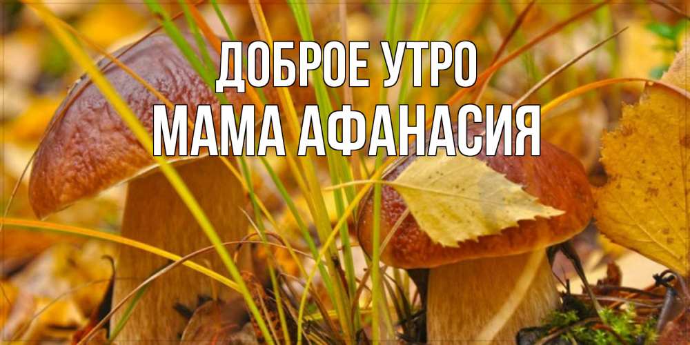 Открытка на каждый день с именем, Мама-Афанасия Доброе утро осенние грибы Прикольная открытка с пожеланием онлайн скачать бесплатно 