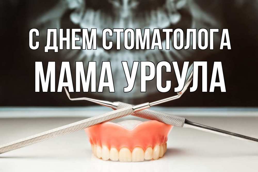 Открытка на каждый день с именем, Мама-Урсула С днем стоматолога с днем стоматолога Прикольная открытка с пожеланием онлайн скачать бесплатно 