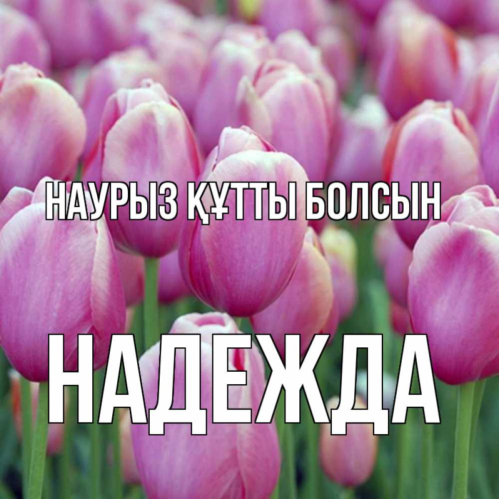 Открытка на каждый день с именем, Надежда Наурыз құтты болсын на наурыз  день 3 Прикольная открытка с пожеланием онлайн скачать бесплатно 