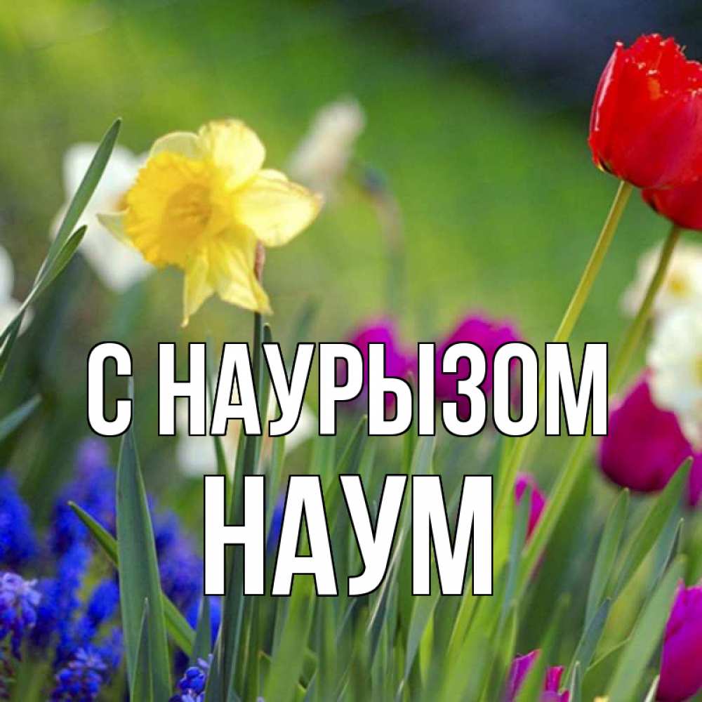 Открытка на каждый день с именем, Наум С наурызом праздник весны наурыз 3 Прикольная открытка с пожеланием онлайн скачать бесплатно 
