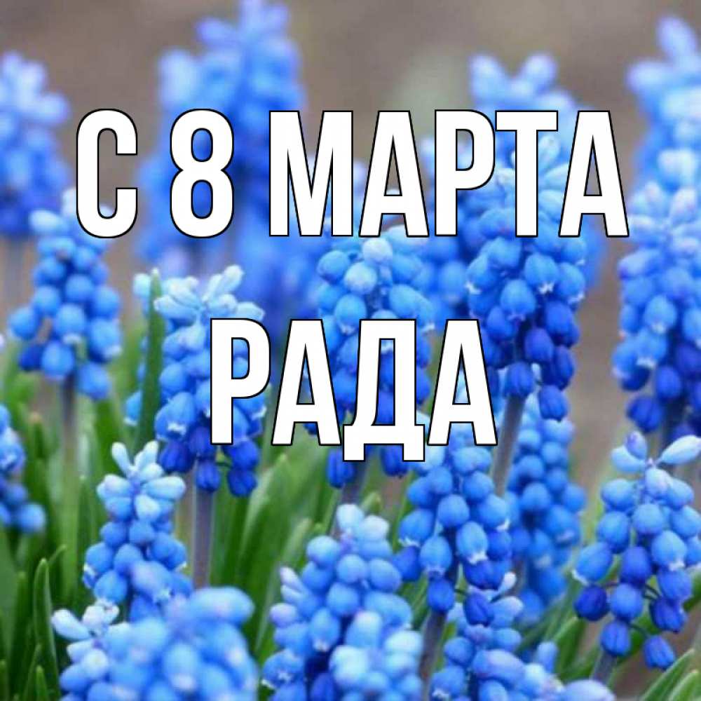 Открытка на каждый день с именем, Рада С 8 МАРТА Поздравительная открытка для женщин с цветами на праздничную дату Прикольная открытка с пожеланием онлайн скачать бесплатно 