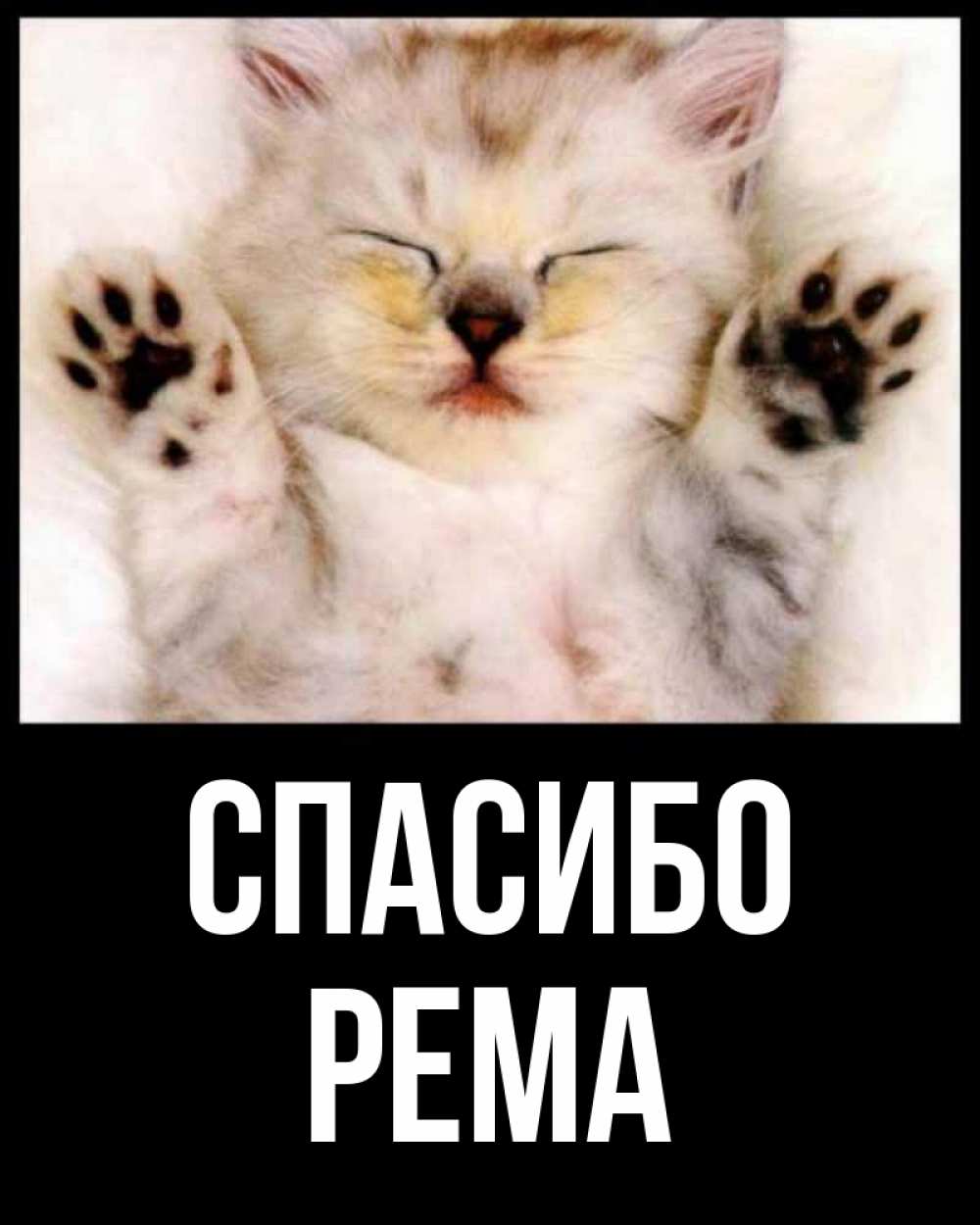 Открытка на каждый день с именем, Рема Спасибо маленький котенок Прикольная открытка с пожеланием онлайн скачать бесплатно 