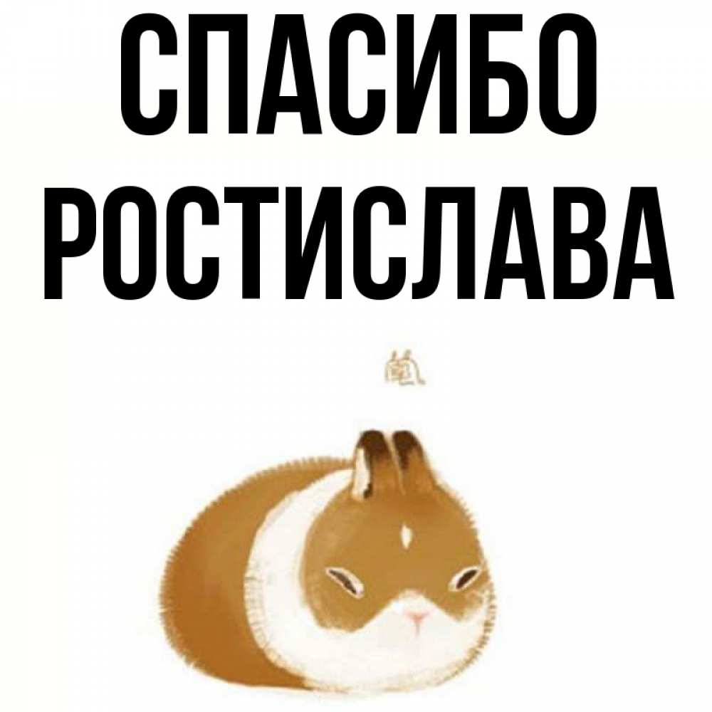 Открытка на каждый день с именем, Ростислава Спасибо коричнево белый домашний питомец Прикольная открытка с пожеланием онлайн скачать бесплатно 