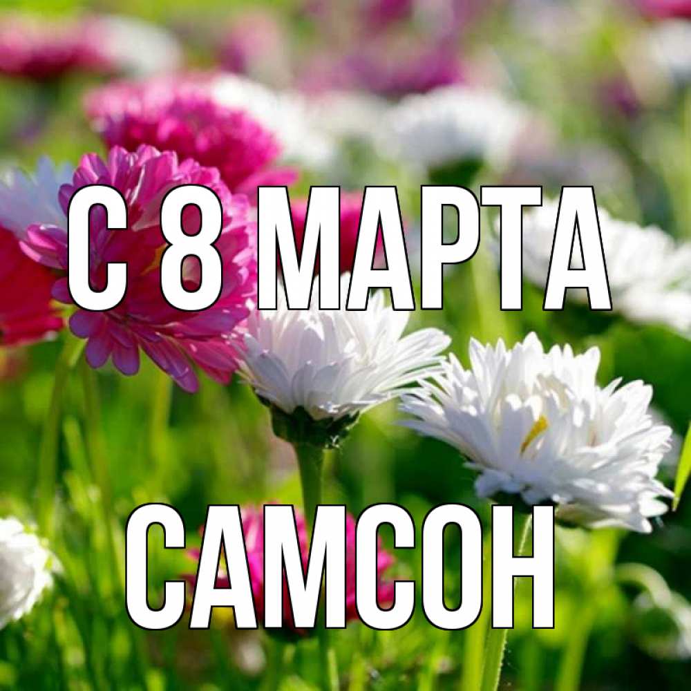Открытка на каждый день с именем, Самсон С 8 МАРТА международный женский день 1 Прикольная открытка с пожеланием онлайн скачать бесплатно 