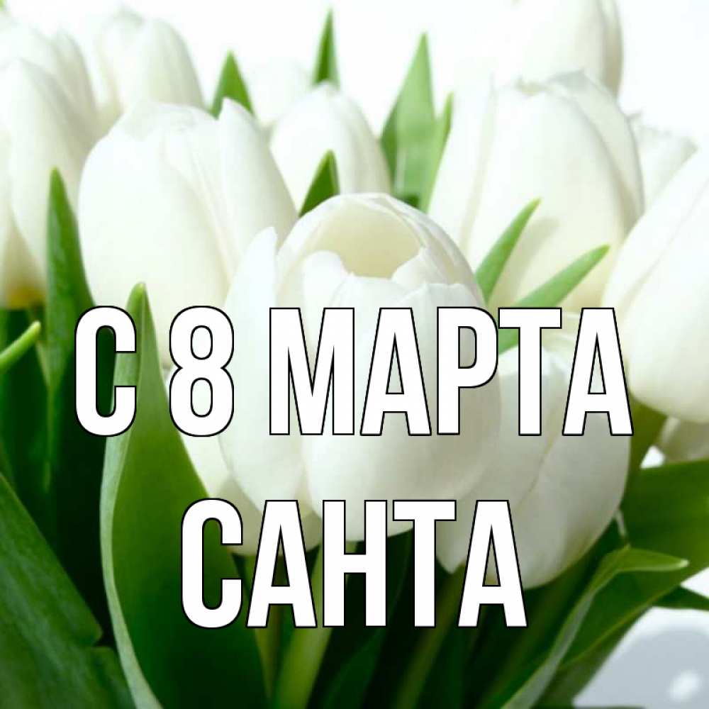Открытка на каждый день с именем, Санта С 8 МАРТА цветы Прикольная открытка с пожеланием онлайн скачать бесплатно 