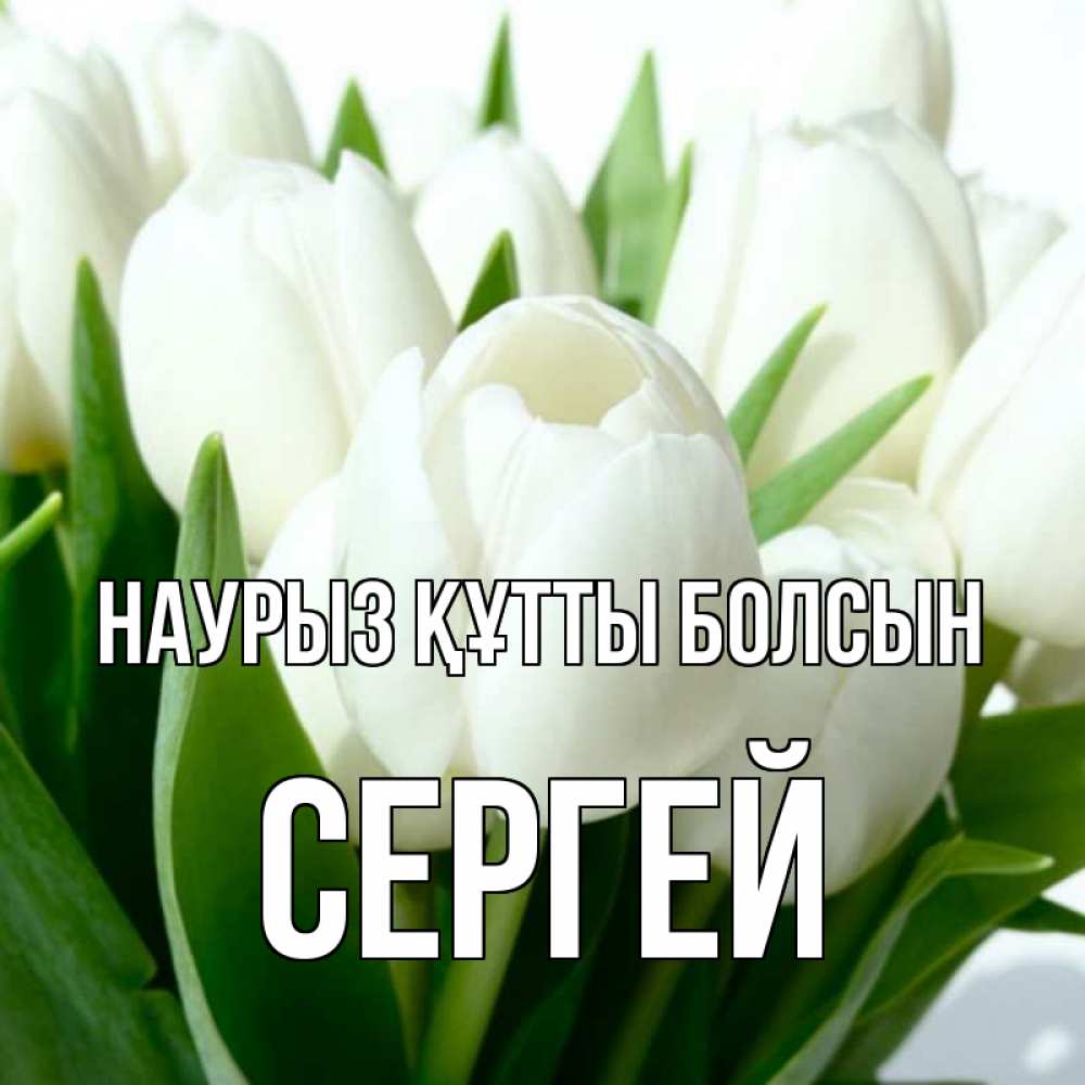 Открытка на каждый день с именем, Сергей Наурыз құтты болсын цветы Прикольная открытка с пожеланием онлайн скачать бесплатно 