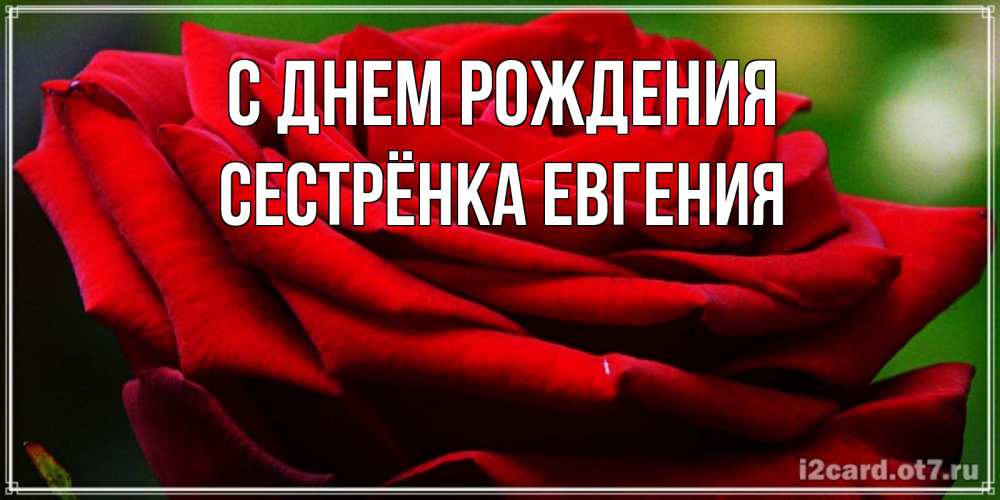 Открытка на каждый день с именем, Сестрёнка-Евгения С днем рождения розочка очень красивая Прикольная открытка с пожеланием онлайн скачать бесплатно 