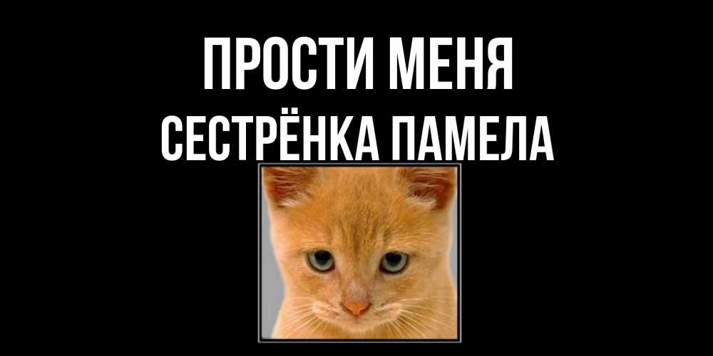 Открытка на каждый день с именем, Сестрёнка-Памела Прости меня рыжий грустный кот просит прощения Прикольная открытка с пожеланием онлайн скачать бесплатно 