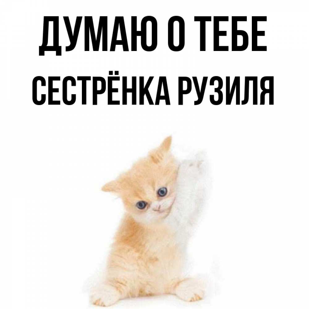 Открытка на каждый день с именем, Сестрёнка-Рузиля Думаю о тебе зверушки и милота Прикольная открытка с пожеланием онлайн скачать бесплатно 