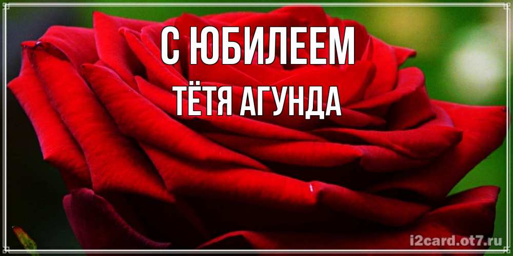 Открытка на каждый день с именем, Тётя-Агунда С юбилеем розочка очень красивая Прикольная открытка с пожеланием онлайн скачать бесплатно 