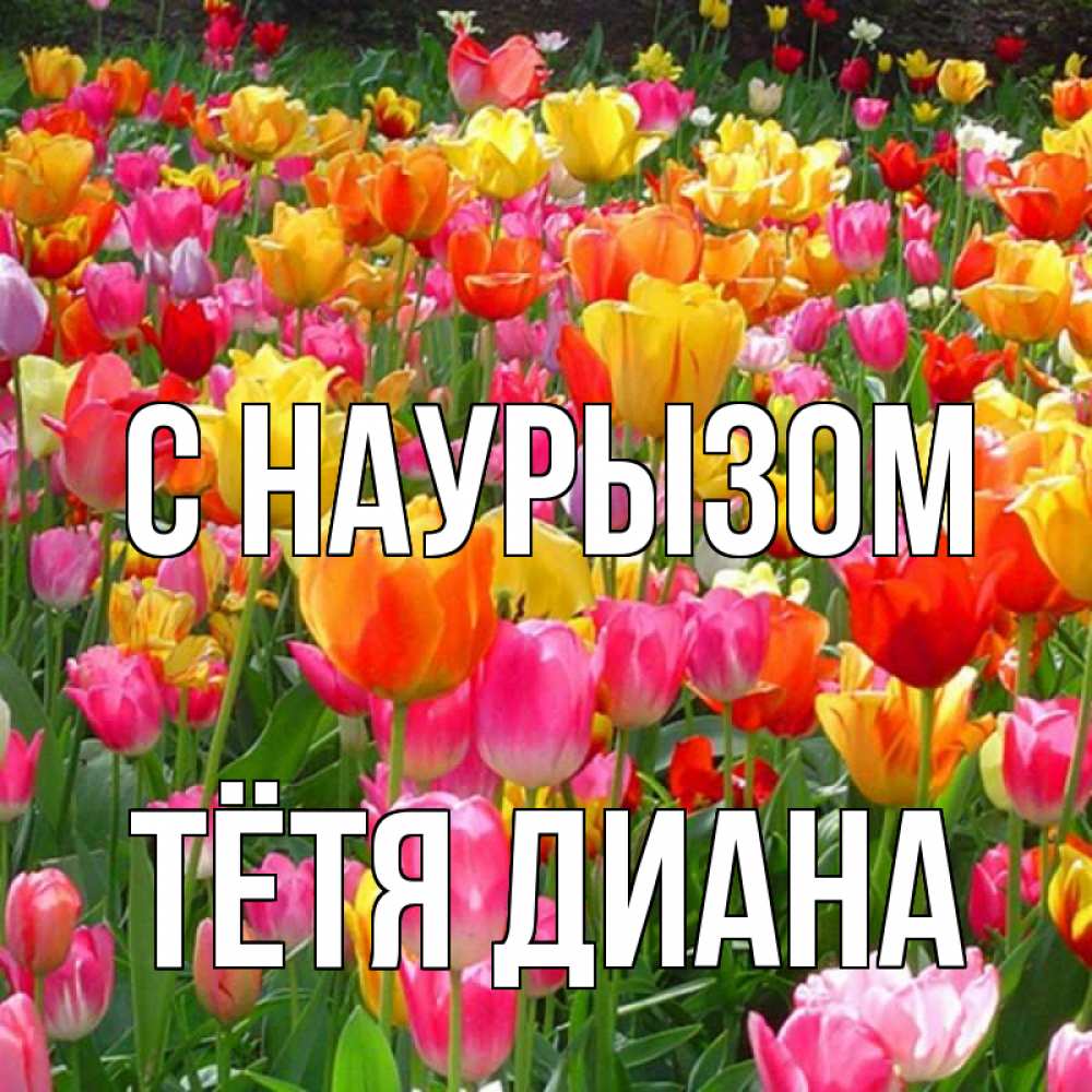 Открытка на каждый день с именем, Тётя-Диана С наурызом праздник весны наурыз 4 Прикольная открытка с пожеланием онлайн скачать бесплатно 