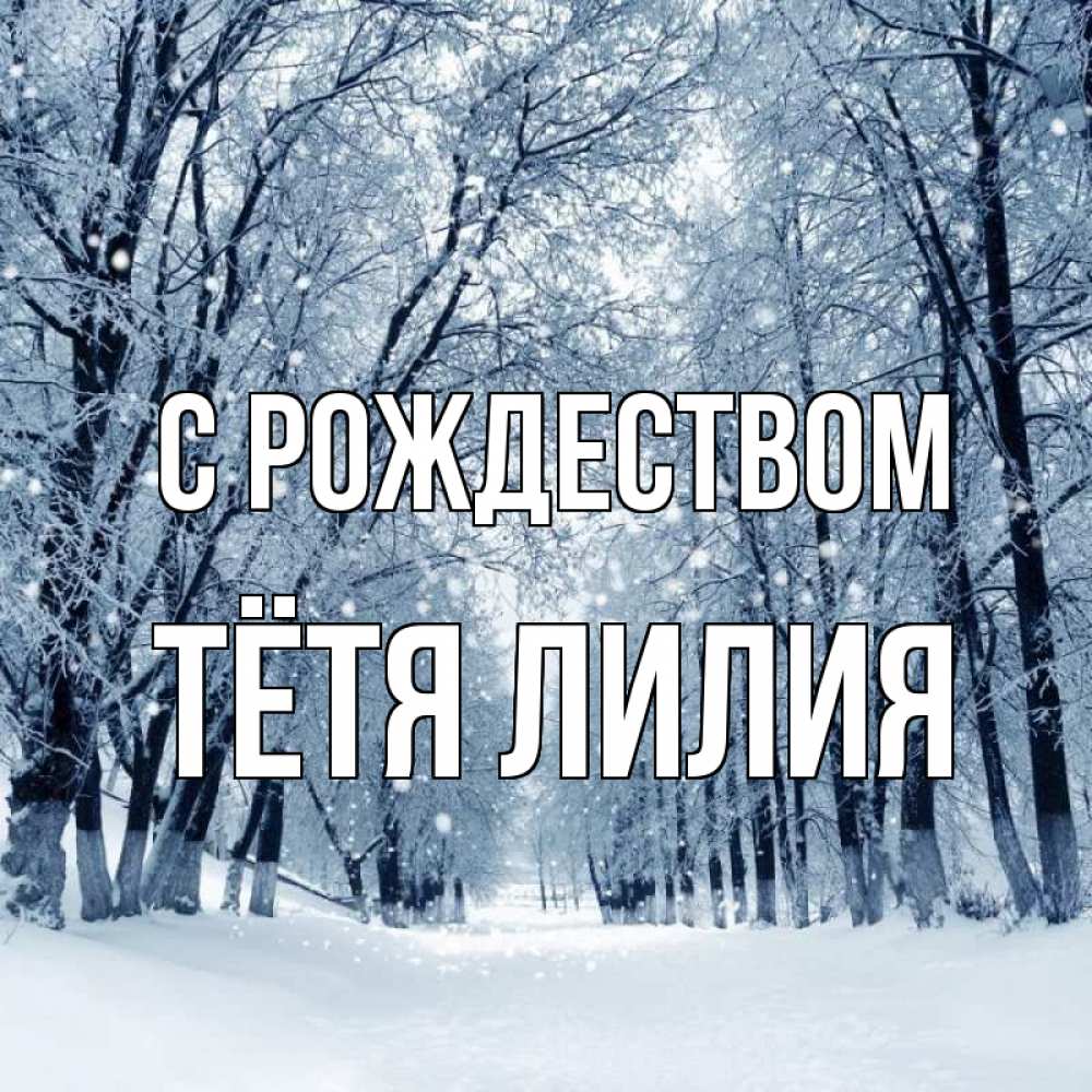 Открытка на каждый день с именем, Тётя-Лилия С рождеством снег, лес, парк Прикольная открытка с пожеланием онлайн скачать бесплатно 