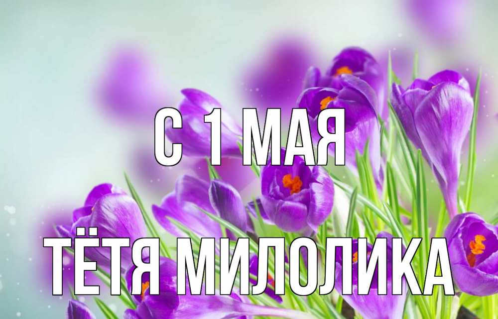 Открытка на каждый день с именем, Тётя-Милолика С 1 мая 1 мая Прикольная открытка с пожеланием онлайн скачать бесплатно 