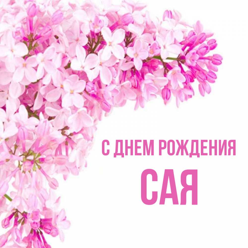 Имя сая