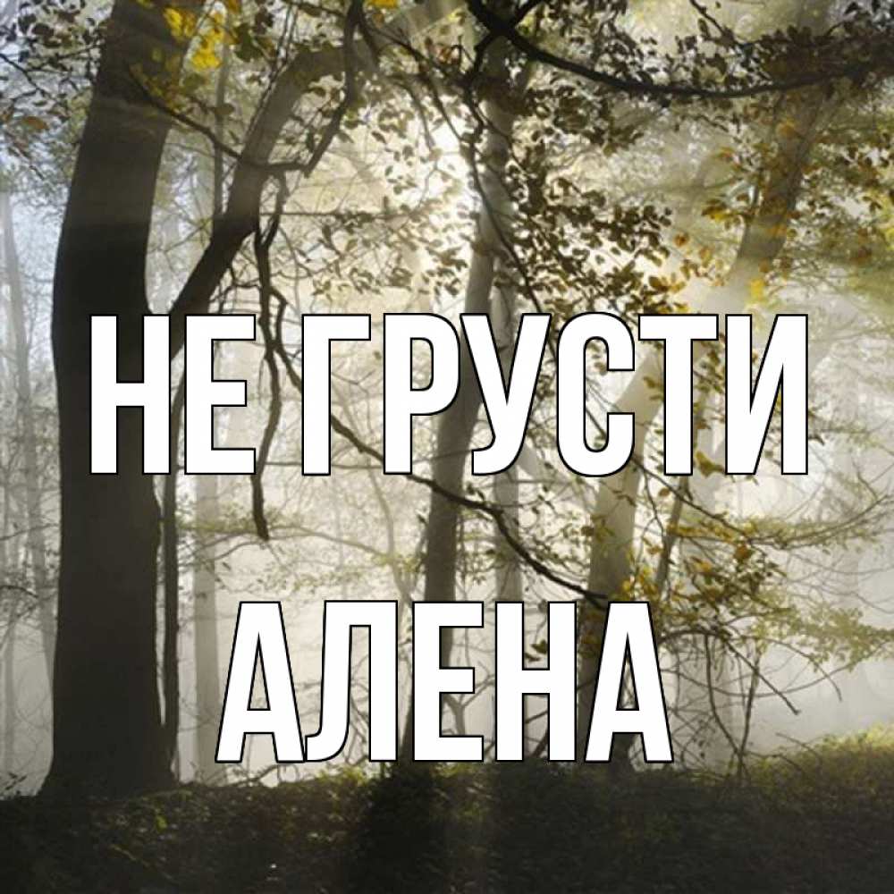 Открытка на каждый день с именем, Алена Не грусти лес и свет Прикольная открытка с пожеланием онлайн скачать бесплатно 