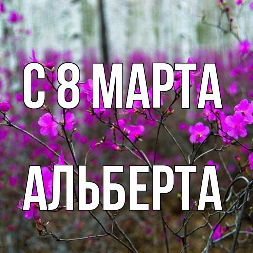 Открытка на каждый день с именем, Альберта С 8 МАРТА дикие цветы Прикольная открытка с пожеланием онлайн скачать бесплатно 