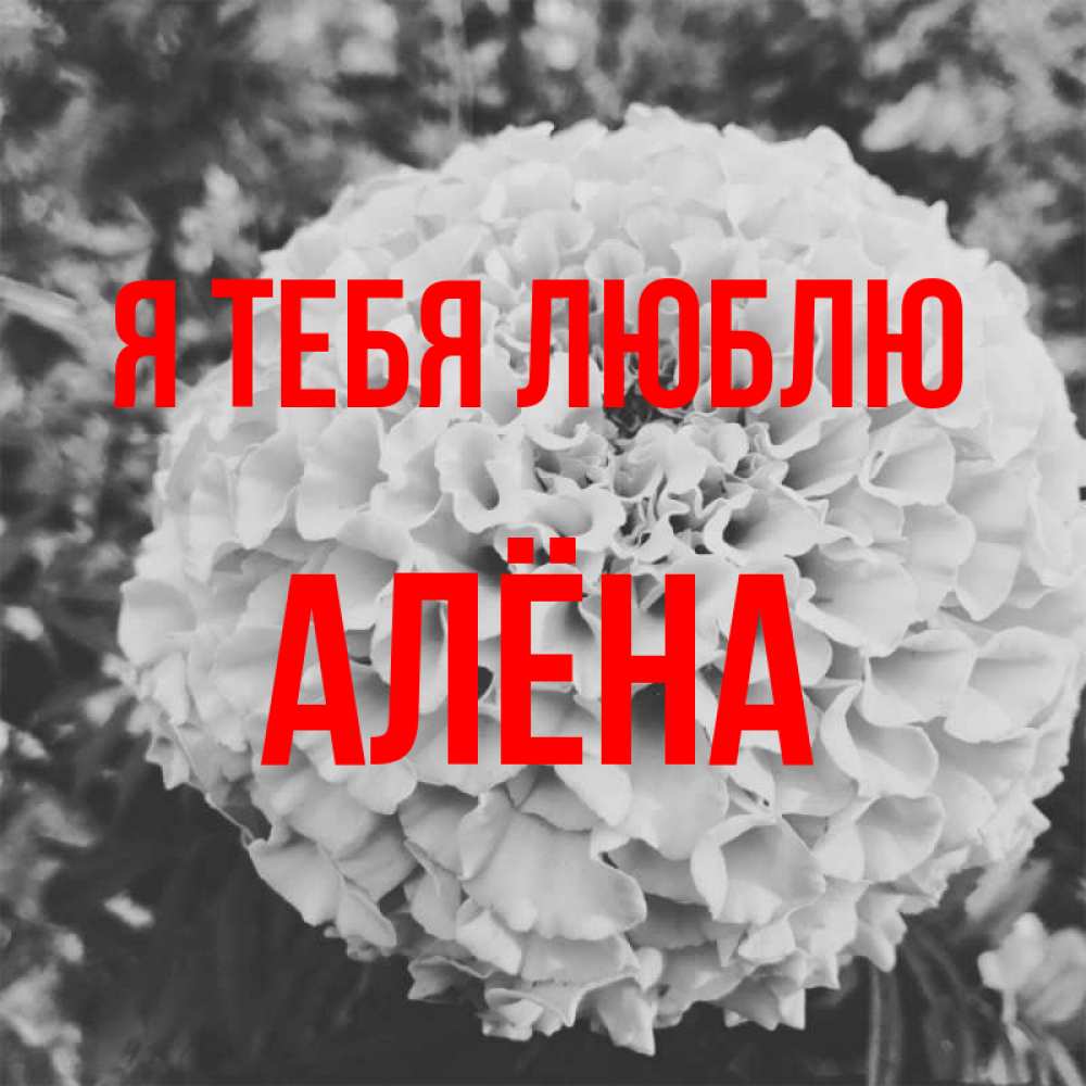 Открытка на каждый день с именем, Алёна Я тебя люблю подпись Прикольная открытка с пожеланием онлайн скачать бесплатно 