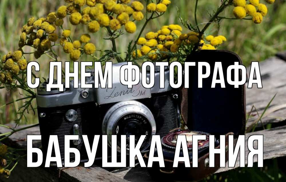 Открытка на каждый день с именем, Бабушка-Агния С днем фотографа с днем фотографа Прикольная открытка с пожеланием онлайн скачать бесплатно 