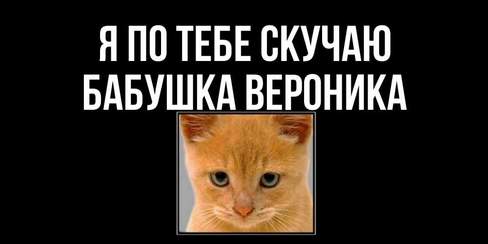 Открытка на каждый день с именем, Бабушка-Вероника Я по тебе скучаю открытки рыжий котенок скучает по тебе Прикольная открытка с пожеланием онлайн скачать бесплатно 