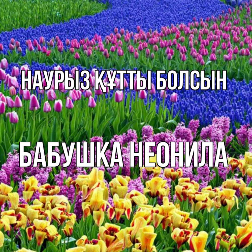 Открытка на каждый день с именем, Бабушка-Неонила Наурыз құтты болсын цветы Прикольная открытка с пожеланием онлайн скачать бесплатно 
