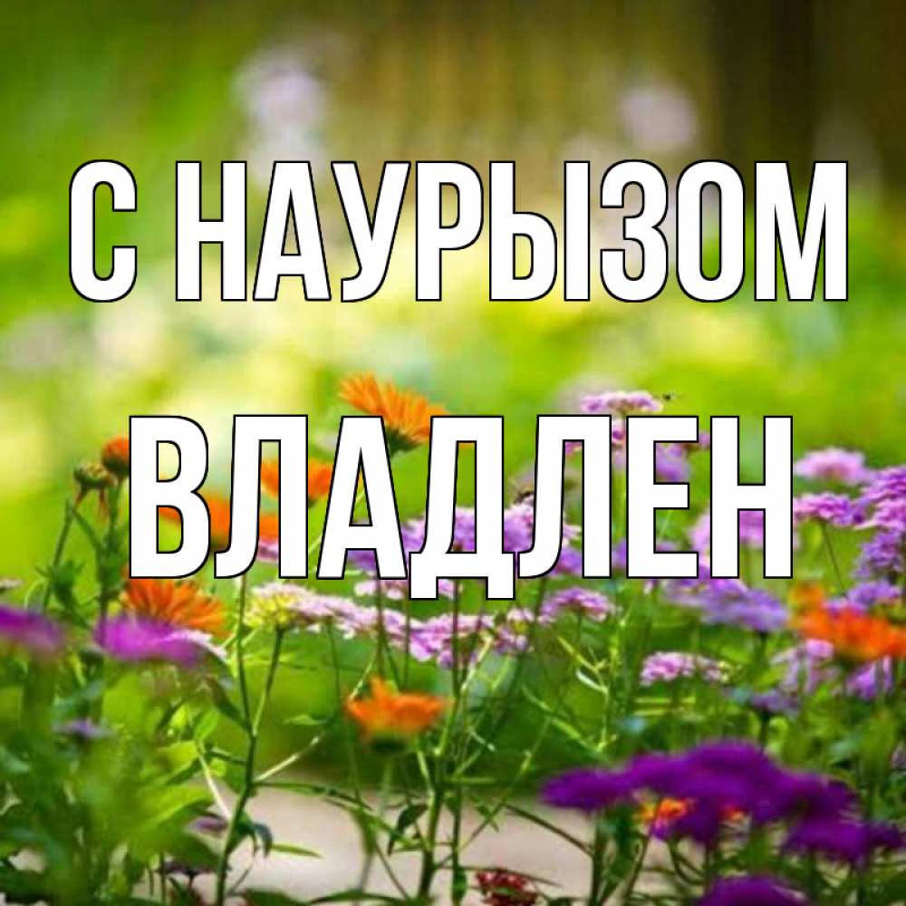 Открытка на каждый день с именем, Владлен С наурызом цветы Прикольная открытка с пожеланием онлайн скачать бесплатно 