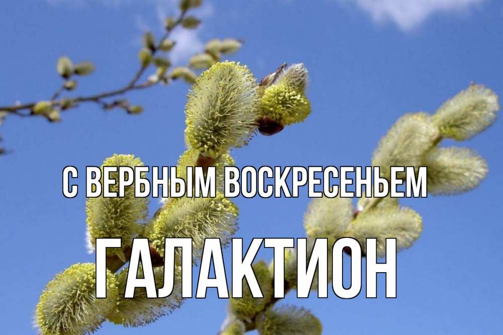Открытка на каждый день с именем, Галактион С вербным воскресеньем верба Прикольная открытка с пожеланием онлайн скачать бесплатно 