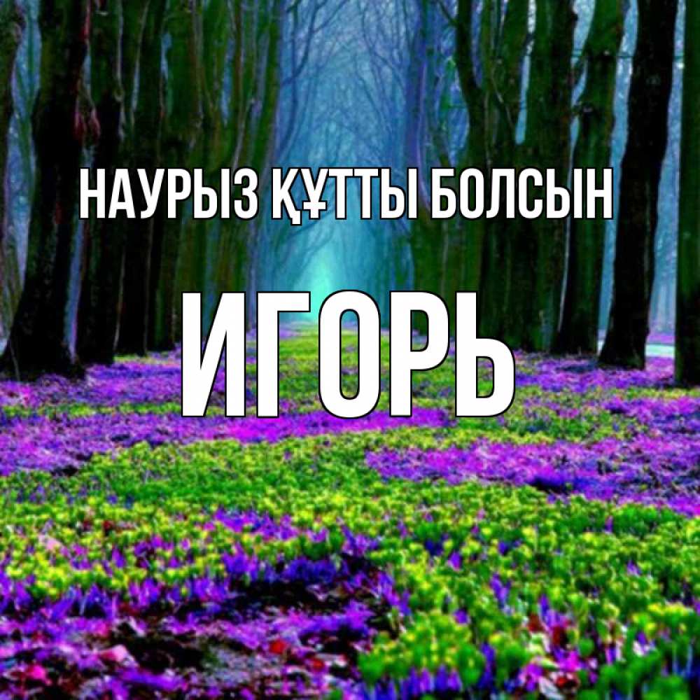 Открытка на каждый день с именем, Игорь Наурыз құтты болсын фиолетовые цветы в лесу 1 Прикольная открытка с пожеланием онлайн скачать бесплатно 