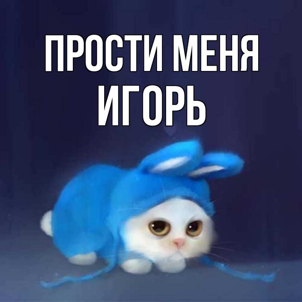 Открытка на каждый день с именем, Игорь Прости меня невинный котозай просит прощения Прикольная открытка с пожеланием онлайн скачать бесплатно 