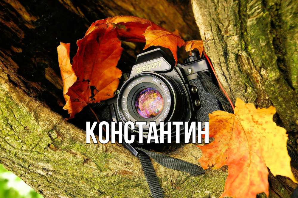 Открытка на каждый день с именем, Константин Главная с днем фотографа 1 Прикольная открытка с пожеланием онлайн скачать бесплатно 