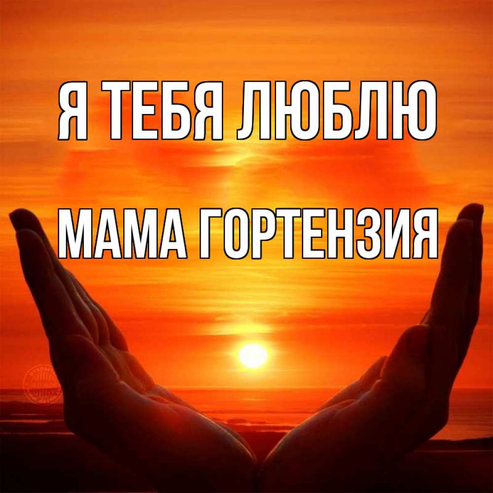 Открытка на каждый день с именем, Мама-Гортензия Я тебя люблю в руках Прикольная открытка с пожеланием онлайн скачать бесплатно 