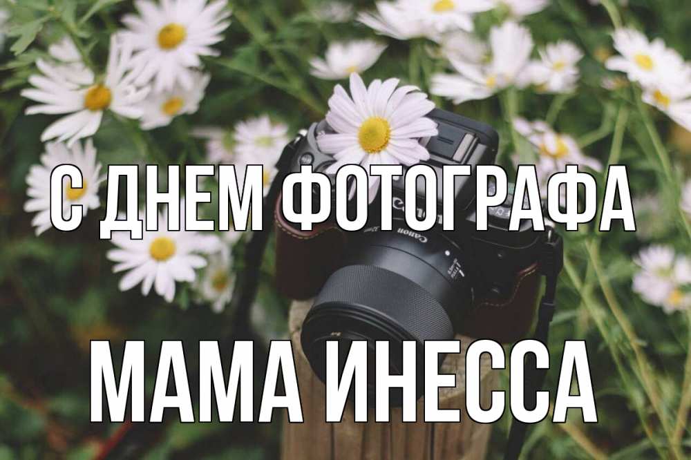 Открытка на каждый день с именем, Мама-Инесса С днем фотографа с днем фотографа Прикольная открытка с пожеланием онлайн скачать бесплатно 