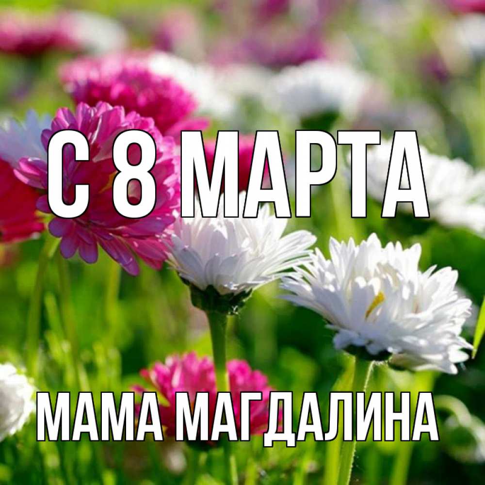 Открытка на каждый день с именем, Мама-Магдалина С 8 марта международный женский день 1 Прикольная открытка с пожеланием онлайн скачать бесплатно 