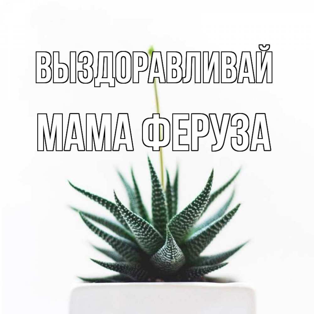 Открытка на каждый день с именем, Мама-Феруза Выздоравливай короче это непонятная колючка Прикольная открытка с пожеланием онлайн скачать бесплатно 
