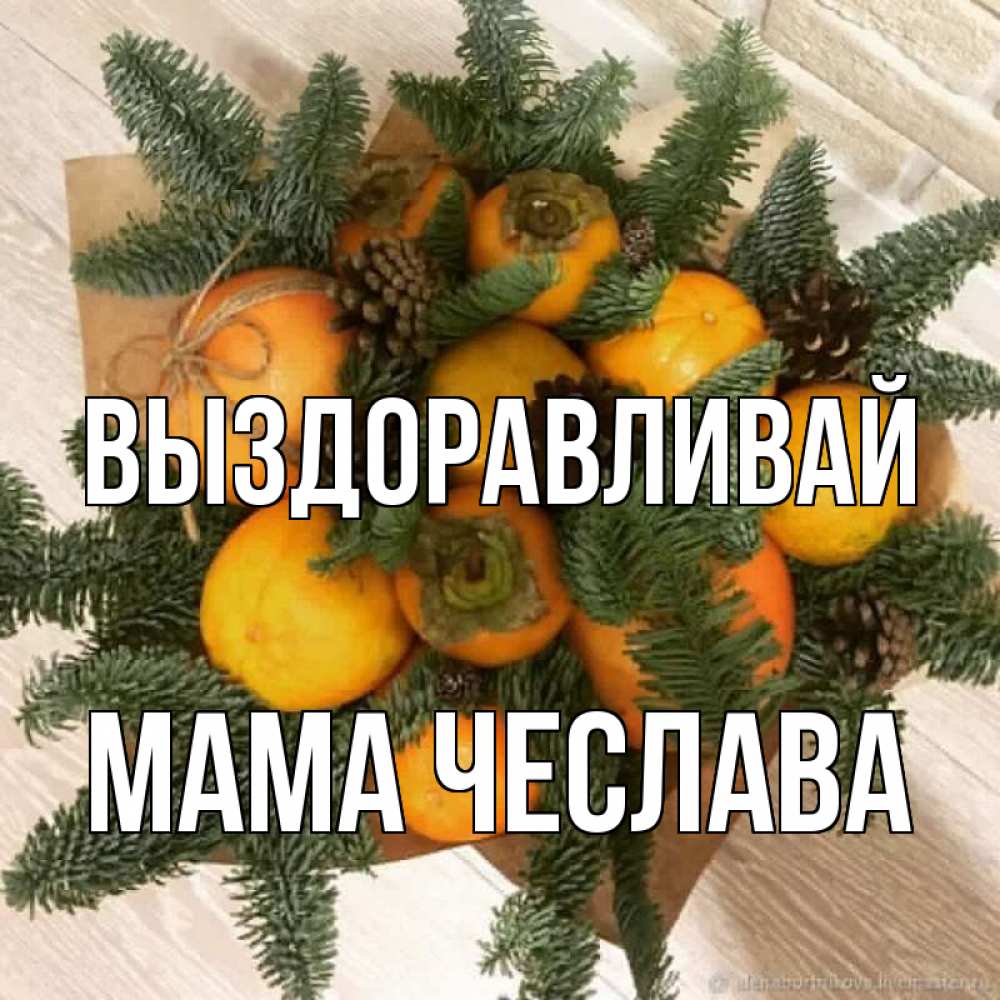 Открытка на каждый день с именем, Мама-Чеслава Выздоравливай апельсины и хурьма Прикольная открытка с пожеланием онлайн скачать бесплатно 