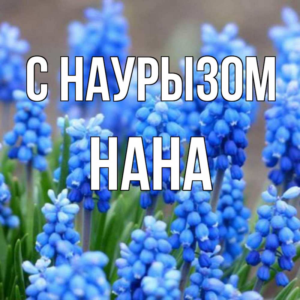 Открытка на каждый день с именем, Нана С наурызом Поздравительная открытка для женщин с цветами на праздничную дату Прикольная открытка с пожеланием онлайн скачать бесплатно 