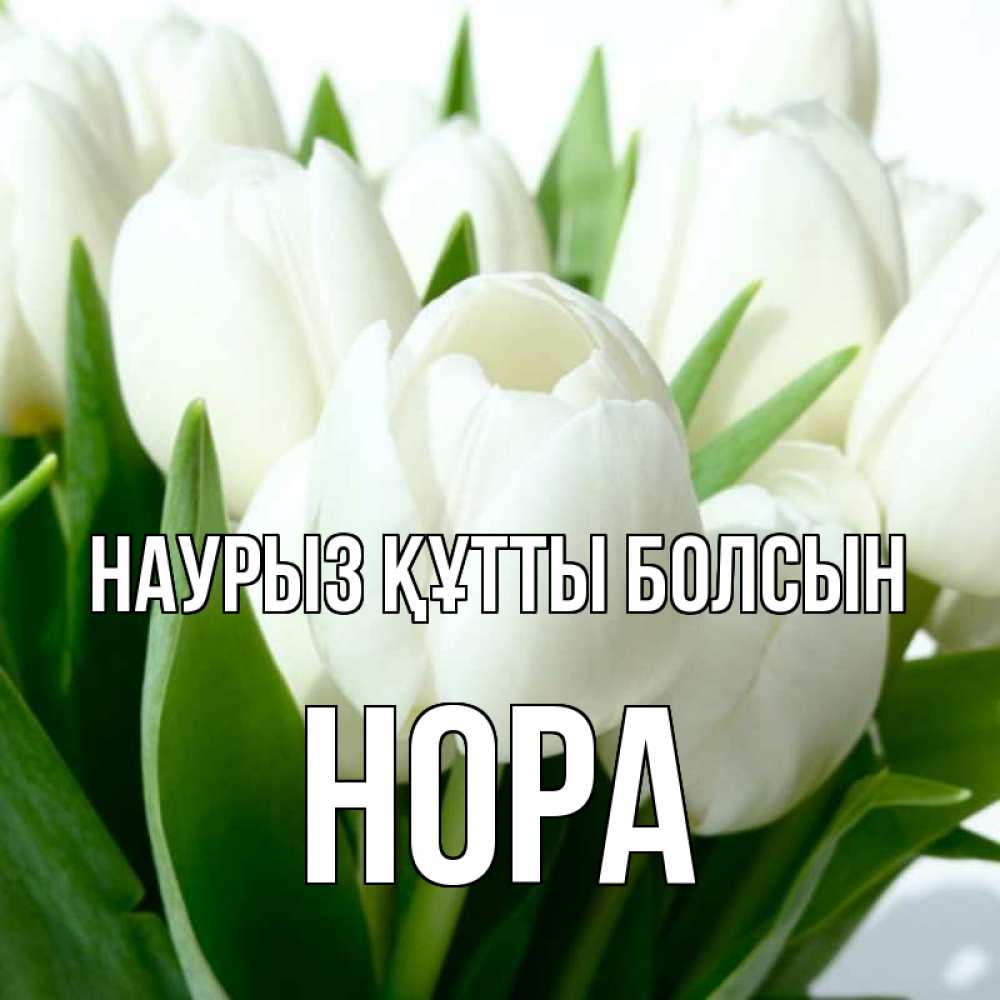 Открытка на каждый день с именем, Нора Наурыз құтты болсын цветы Прикольная открытка с пожеланием онлайн скачать бесплатно 