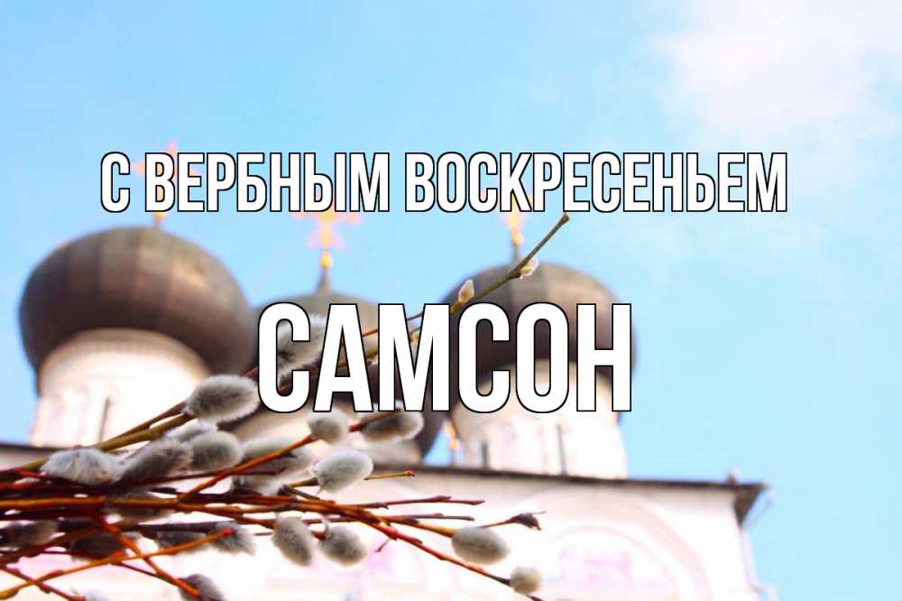 Открытка на каждый день с именем, Самсон С вербным воскресеньем верба Прикольная открытка с пожеланием онлайн скачать бесплатно 