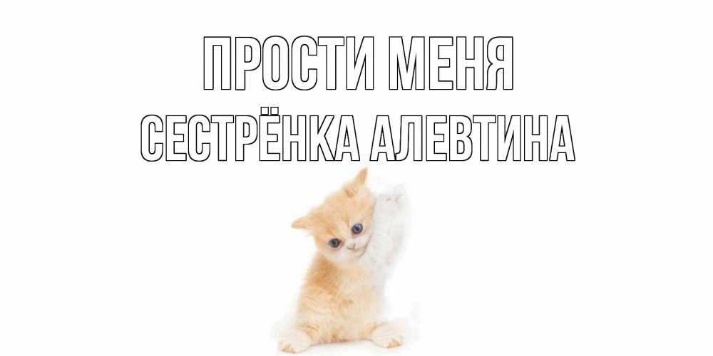 Открытка на каждый день с именем, Сестрёнка-Алевтина Прости меня кот Прикольная открытка с пожеланием онлайн скачать бесплатно 