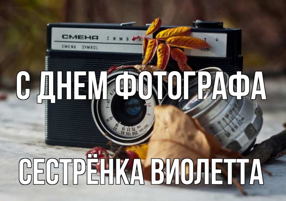 Открытка на каждый день с именем, Сестрёнка-Виолетта С днем фотографа с днем фотографа Прикольная открытка с пожеланием онлайн скачать бесплатно 