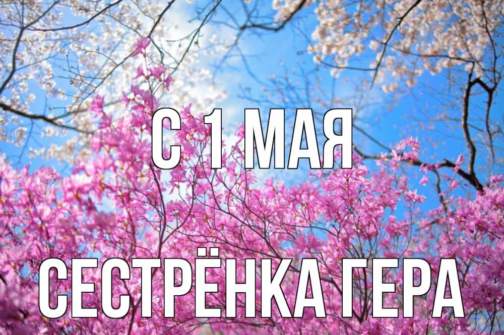 Открытка на каждый день с именем, Сестрёнка-Гера С 1 мая С 1 мая Прикольная открытка с пожеланием онлайн скачать бесплатно 