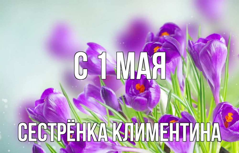 Открытка на каждый день с именем, Сестрёнка-Климентина С 1 мая 1 мая Прикольная открытка с пожеланием онлайн скачать бесплатно 