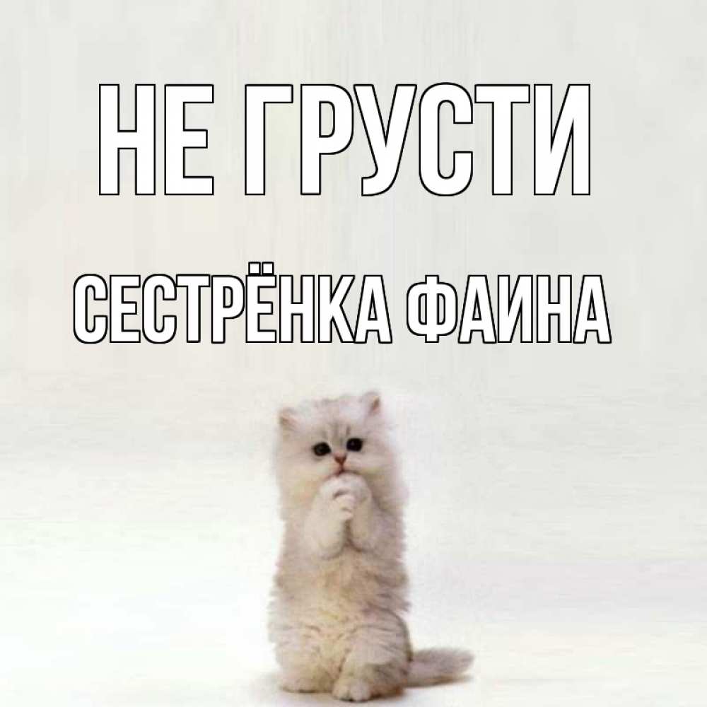 Открытка на каждый день с именем, Сестрёнка-Фаина Не грусти грустный кот Прикольная открытка с пожеланием онлайн скачать бесплатно 