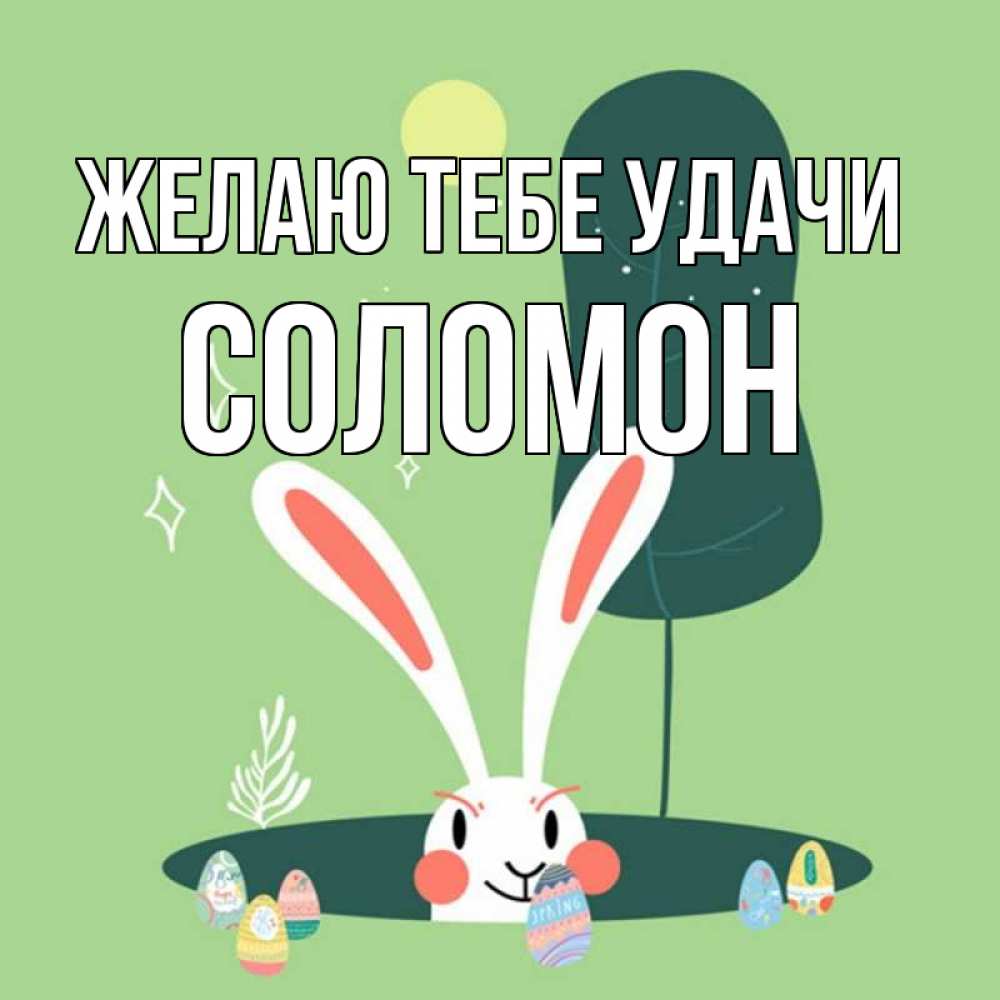 Открытка на каждый день с именем, Соломон Желаю тебе удачи заяц Прикольная открытка с пожеланием онлайн скачать бесплатно 