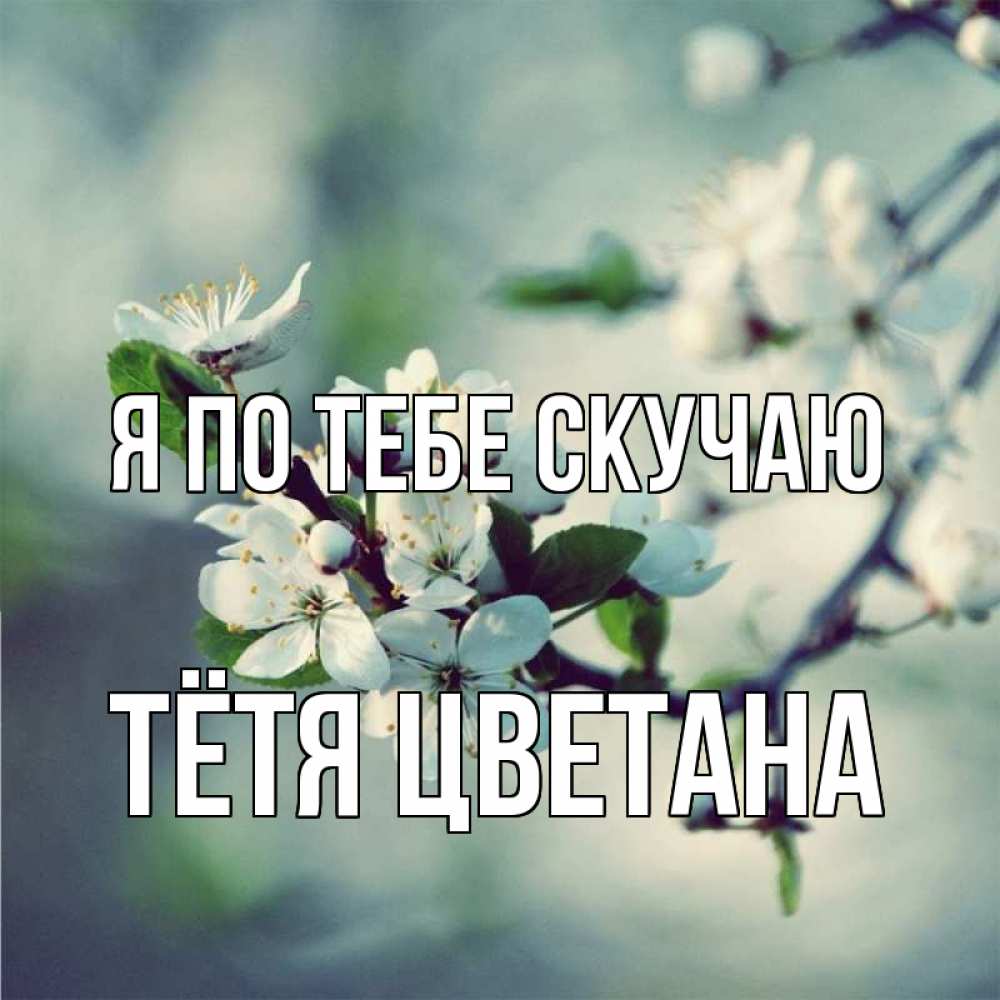 Открытка на каждый день с именем, Тётя-Цветана Я по тебе скучаю весна Прикольная открытка с пожеланием онлайн скачать бесплатно 