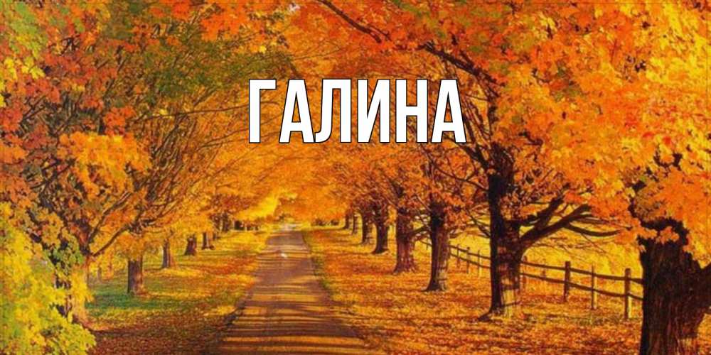 Открытка на каждый день с именем, Галина Главная деревья с осенними листьями Прикольная открытка с пожеланием онлайн скачать бесплатно 
